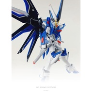 DELPI DECAL HG RISING FREEDOM WATER DECAL