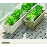 Balcony Vegetable Pot Vegetable Special Household Flower Pot Rectangular Indoor Plastic Long Pot Planting Artifact