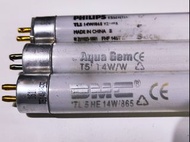 T5 14W 10白光 光管