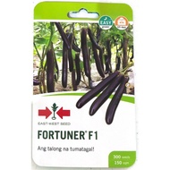 eggplant (talong) fortuner f1