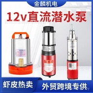 Jualan Panas Shopee Rentas Sempadan Perdagangan Asing DC Pam Rendam Bateri Menyiram Pam Ladang Pam B