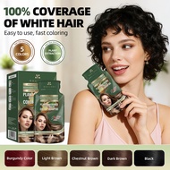 Hair Dyeing Shampoo Non-irritating Natural Hair Dyeing Shampoo Women Man White to Black Hair Dye Car