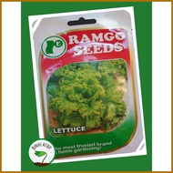 Ramgo Lettuce Black Simpson Seeds