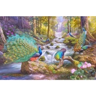 Wall Decoration, PEACOCK, JUMBO Size, 100x70cm & 150x100cm & 200x100cm/Printed Painting/ Poster Prin