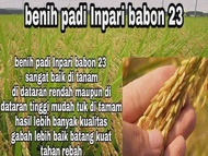 BENIH BIBIT PADI INPARI BABON 23 KEMASAN 10KG
