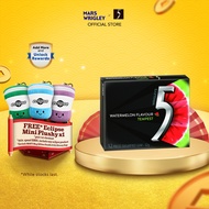 5 Gum Tempest Gum / Sugar Free