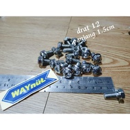 Bolt 2 keys Thread 12 length 1.5cm Stainless