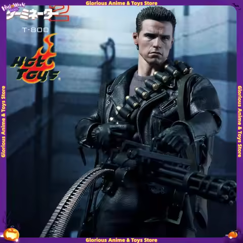 In Stock HOTTOYS HT 1/6 DX10 Terminator 2 T2 T800 Arnold Schwarzenegger Desktop Ornament Movable Hum