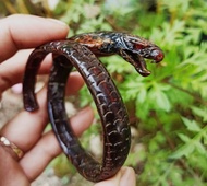 Gelang Akar Bahar Merah Original Ukir Ular Cobra