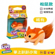 Littlelivepets Palm-sized Pets Little Turtle Squirrel Toddler Simulation Pets School Gifts Toys 4/17