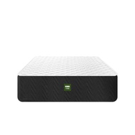 SB Design Square KAWA Kawa ที่นอนยางพารา รุ่น Daiki หนา 10 นิ้ว ขนาด 6 ฟุต