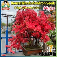 50pcs Mixed Color Rhododendron Seeds Azalea Flower Seeds Gardening Bonsai Azalea Live Plants Potted 
