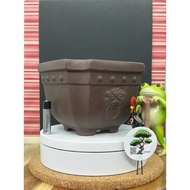 [YBB] High Quality ZiSha Bonsai Pot 高質量紫砂盆