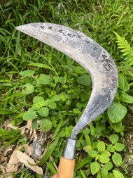 Arit SabitRumput dan padi cap bintang baja isen lapis6 asli wonosobo super tajam full asahan bisa Co