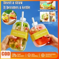 [Ready Stock] 2 IN 1 Ice Drink Bottle SUMMER COOL Ice Cube Tray With Straw 500ML Silicone Ice Cube T