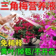 【Plant Nutrient Solution】Bougainvillea Special Flower Fertilizer Nutrient Solution Bonsai Pot Special Fertilizer Everblo