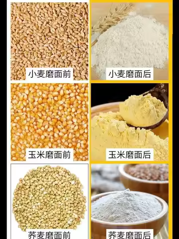 Household Small Multifunctional flour mill wheat corn flour grinder pea wheat bran separation crushe