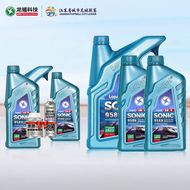 Lopal | Premium Car Full Synthetic Engine Oil 6L