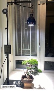 植物爬蟲燈架 （塊根多肉漆樹花植物）伸縮高64-94cm