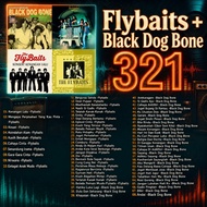 usb pendrive Flybaits+Black Dog Bone music lagu MP3 Car audio universal
