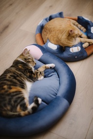 耳機造型折疊床墊-安穩藍 狗墊 貓墊 寵物床