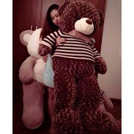 1m2 chocolate teddy bear