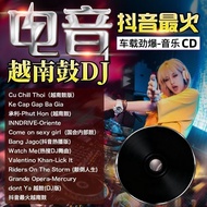 2026 Car cd Popular Songs Popular Injury Emotional Songs Old Songs Lossless High-Quality Sound Disc 