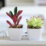 Simulation Green Plant Succulent Small Potted Plant Office Desktop Decoration Mini Cactus Succulent 