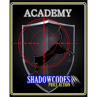 [Full Course] Hanzo Shadowcodes Academy Fx Price Action Structure