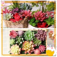 POPULAR Fake Plant DIY Home Decor Miniature Office Cactus