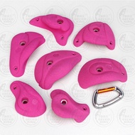 Gecko King Rock Climbing Branch Ready Stock Inventory