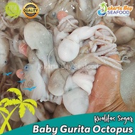 gurita baby octopus/Baby Gurita Octopus Kecil Segar/Gurita Seafood