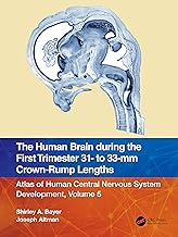 The Human Brain during the First Trimester 31- to 33-mm Crown-Rump Lengths: Atlas of Human Central N