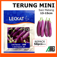 TERUNG MINI 50pcs++  Leckat 313 Little Nyonya Eggplant  F1 Hybrid Biji Benih Seeds