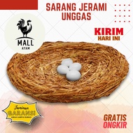 CHICKEN MALL Super Jumbo XXXL Chicken Duck Farming Nest Large Straw Fiber Container for Eggs, Laying
