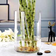 Extra Large Vase Glass Transparent Flower Arrangement Raised Lucky Bamboo Lucky Bamboo Bamboo Cylindrical Straight Household Large-Nordic Glass Vase / Home Decoration Flower Vase / Ornaments Living Room Vases