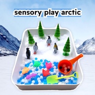 Sensory Play Polar Theme Sensory Arctic Educational and Sensory Toys