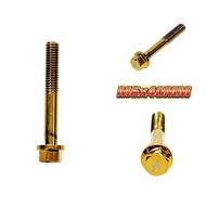 M6x40MM ENGINE SCREW HEXAGON HEAD M6 SIZE BOLT SCREW NUT MOTORCYCLE