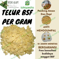 Telur bsf per gram telur maggot bsf termurah telur lalat bsf