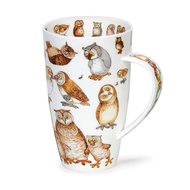 DUNOON แก้วกระเบื้องจีนจากสหราชอาณาจักรถ้วยน้ำเซรามิคสัตว์น่ารักขนาดใหญ่ชุดกล่องของขวัญ Vsmx-Cb