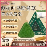 Genuine Seven Green Arborvitae Leaves Usamani Grass Genuine Seven Green Side Cypress Leaf Usmamgrass