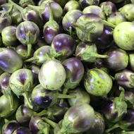 BULILIT EGGPLANT VEGETABLE SEEDS (90 seeds)