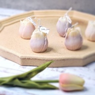 淡紫及白色漸變鬱金香 PW-001 T001