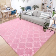 Carpet Rug 4X6 KAKI 120CMX180CM Promosi Harga kilang Anti Slip Carpet bed side Korean Dcoration Chig