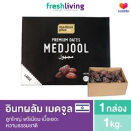 อินทผลัม Premium Medjool Dates Large Freshliving
