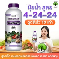 3 ขวด ราคาพิเศษ! ปุ๋ยน้ำ 4-24-24 | ดูดซึมไว 10 เท่า สูตรเด็ดเร่งดอก เร่งผก ลูกใหญ่ ขั้วเหนียว รสชาติ