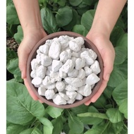 Pumice Stone | +/-14 Litres (6kg) | 10mm - 20mm |