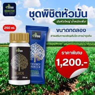 4Tree โฟร์ทรี 1 ซอง + Amino Black อะมิโนแบล็ค 250 ml ชุดทดลอง สูตรระเบิดหัวมัน เร่งราก เพิ่มน้ำหนัก