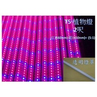 【ARS生活館】LED 植物燈 LED日光燈管 T5 2呎 紅(660nm):藍(450nm)=5:1