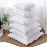 Air pillow insert 30/30,40x40,45/45,50/50 with zipper